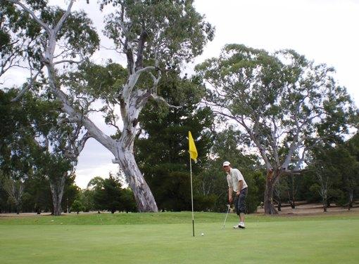 Crock_putts_14.JPG